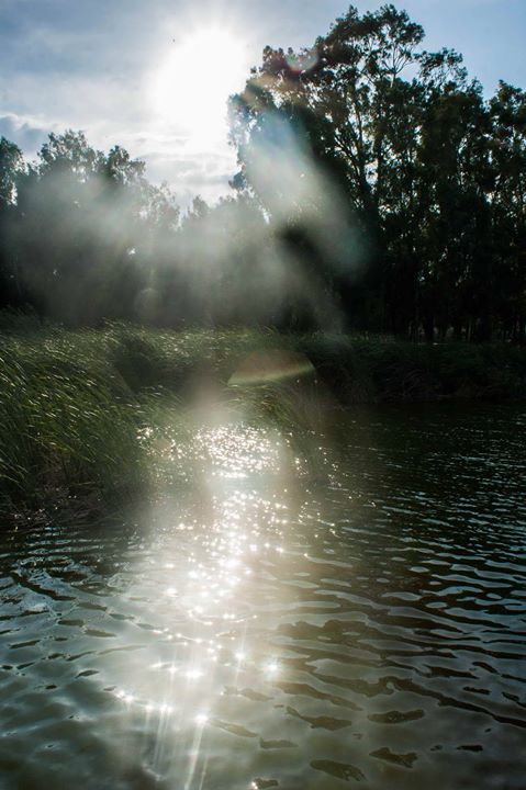 Fine-Art photo 4