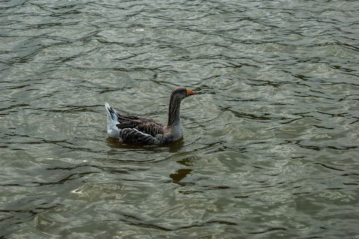 Fine-Art photo 5