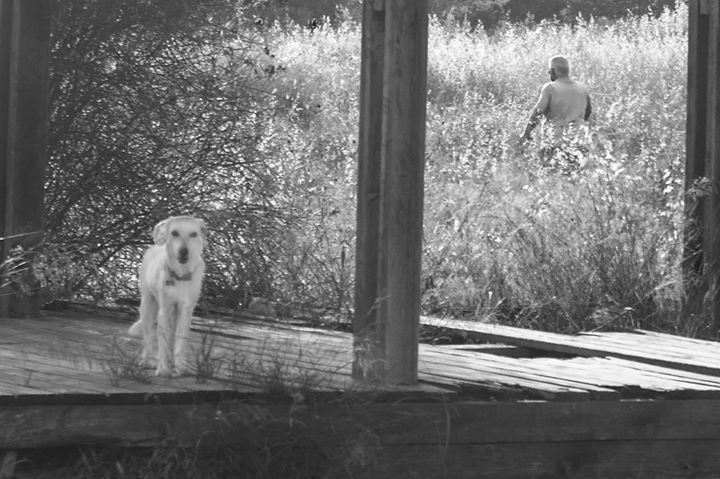 Fine-Art photo 6