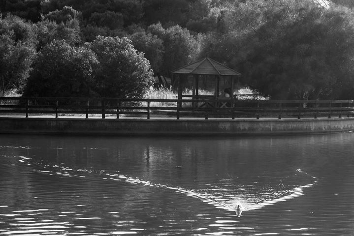 Fine-Art photo 14