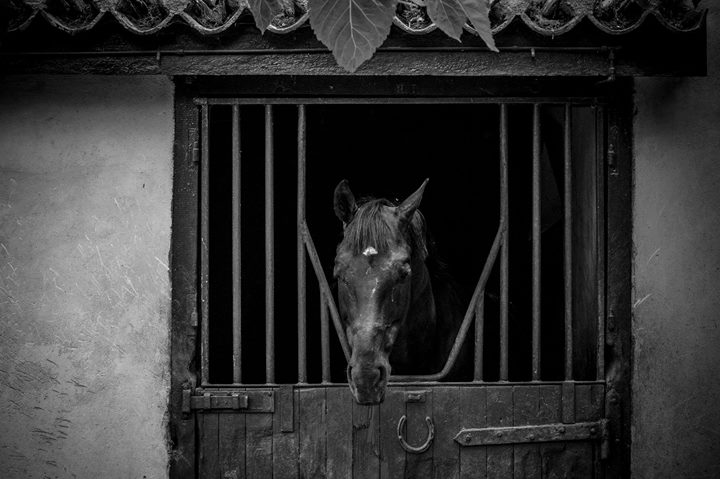 Fine-Art photo 18