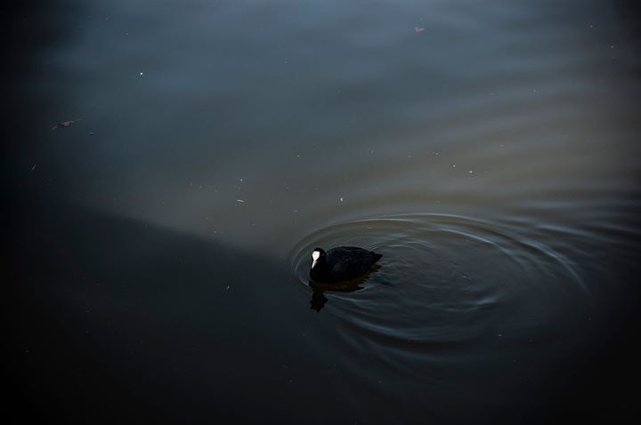 Fine-Art photo 30