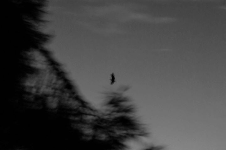 Fine-Art photo 38