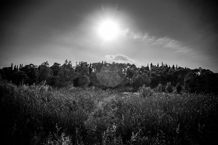 Fine-Art photo 46