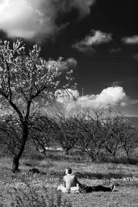 Fine-Art photo 49