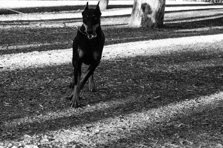 Fine-Art photo 53