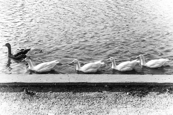 Fine-Art photo 55