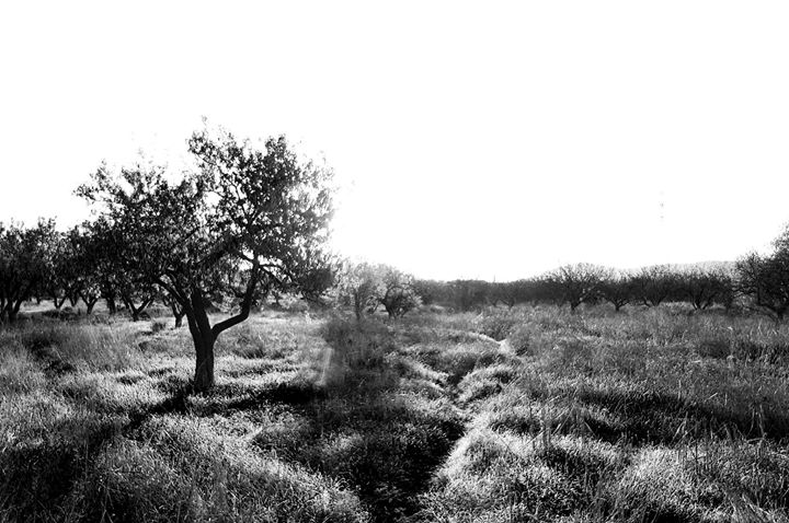 Fine-Art photo 68
