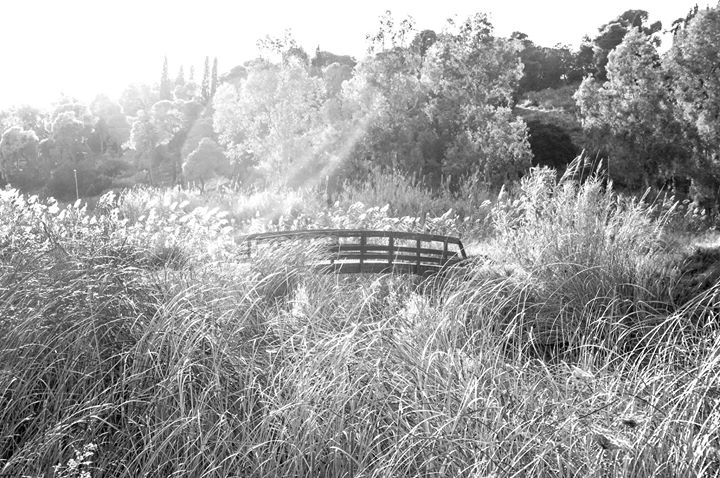 Fine-Art photo 69