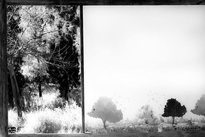 Fine-Art photo 90