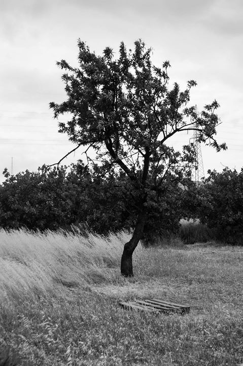 Fine-Art photo 93
