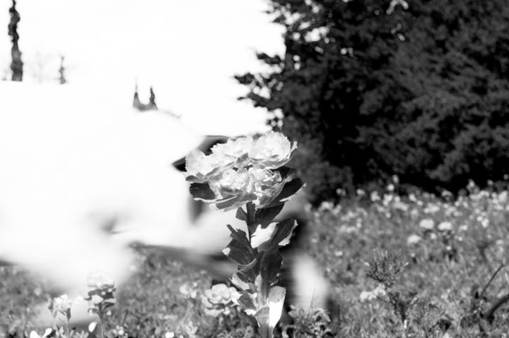 Fine-Art photo 95
