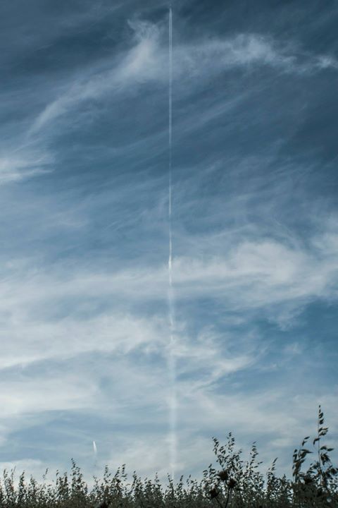 Fine-Art photo 99