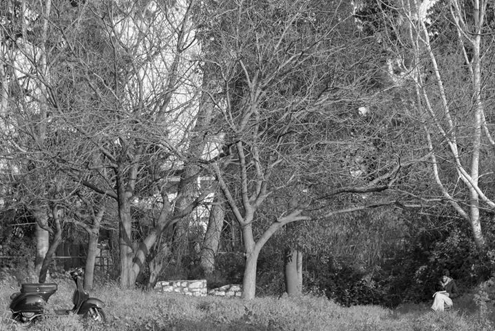 Fine-Art photo 106