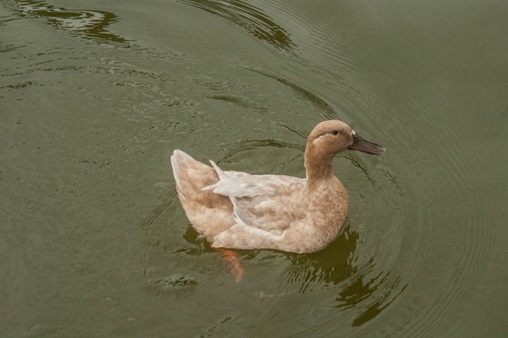 Fine-Art photo 114