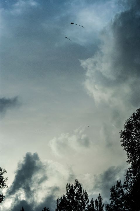 Fine-Art photo 116