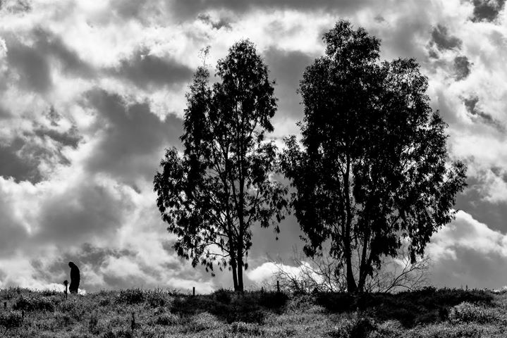 Fine-Art photo 119