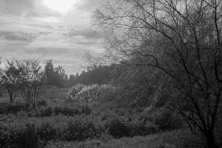 Fine-Art photo 137