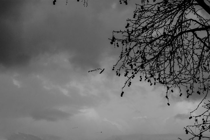 Fine-Art photo 139