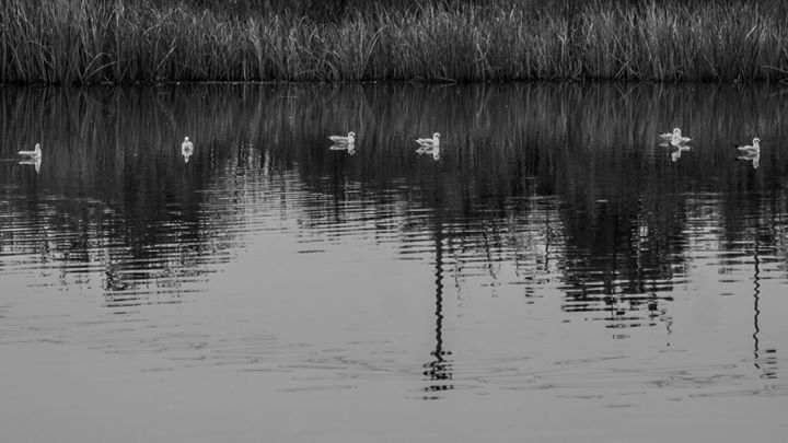 Fine-Art photo 146