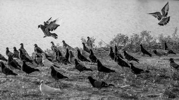Fine-Art photo 153