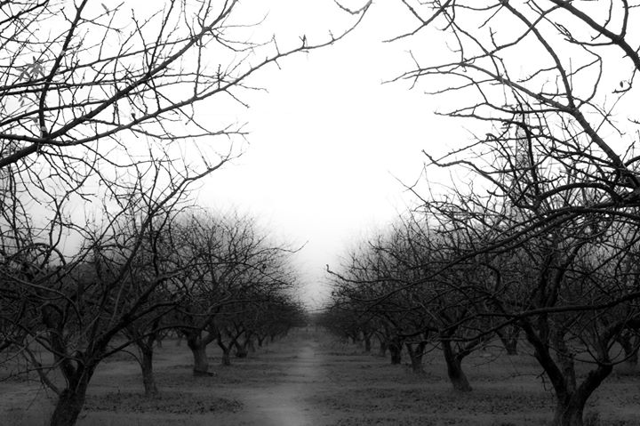 Fine-Art photo 155