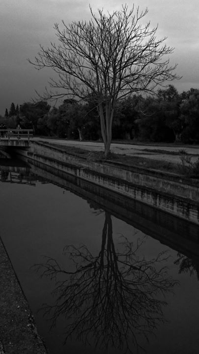 Fine-Art photo 156