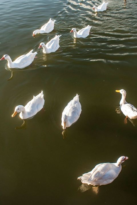 Fine-Art photo 165