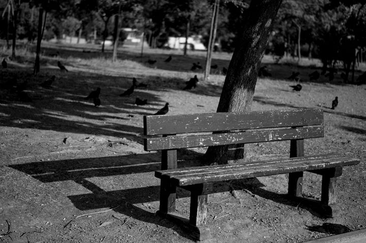 Fine-Art photo 171