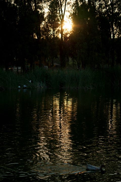 Fine-Art photo 174
