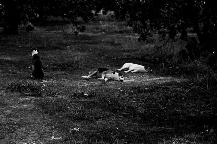 Fine-Art photo 176
