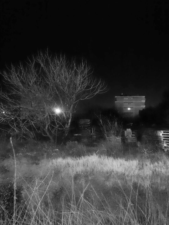 Fine-Art photo 202