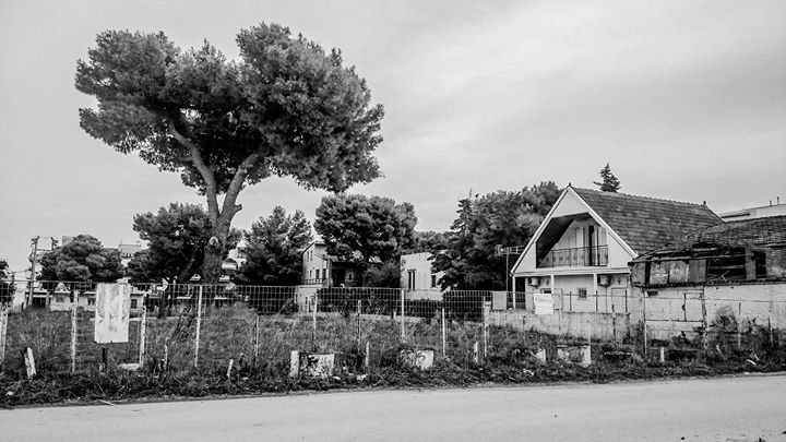 Fine-Art photo 203