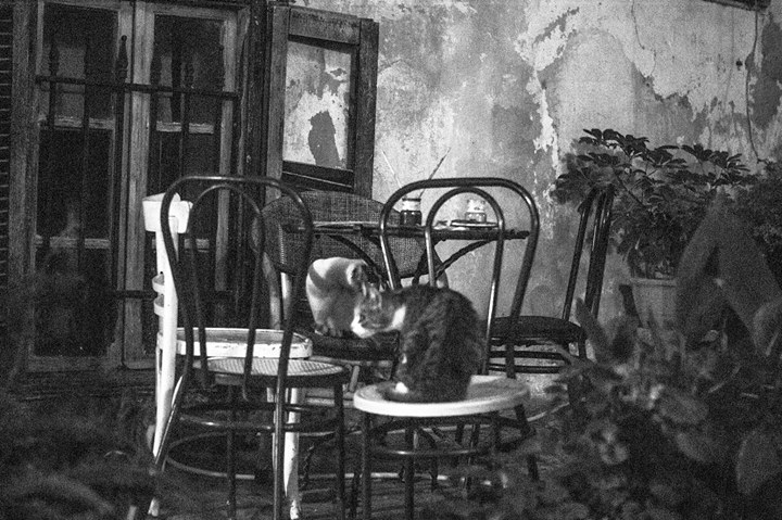 Fine-Art photo 219