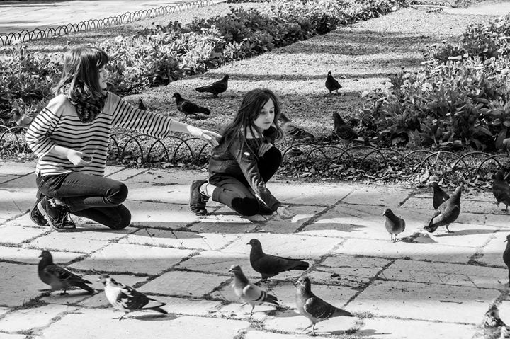 Fine-Art photo 271
