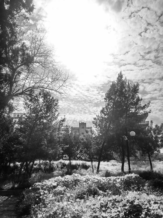 Fine-Art photo 274