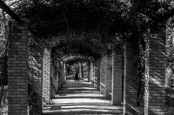 Fine-Art photo 277