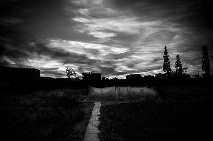 Fine-Art photo 334